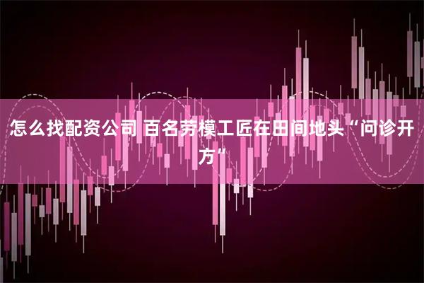 怎么找配资公司 百名劳模工匠在田间地头“问诊开方”